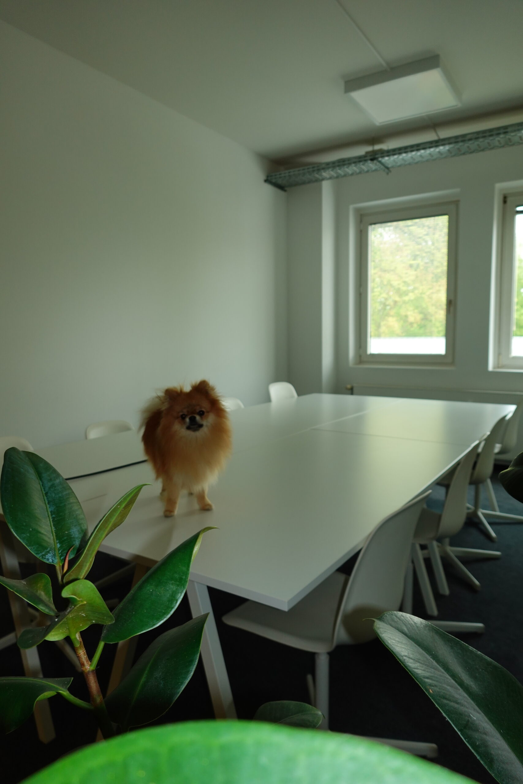 Bürofoto 11