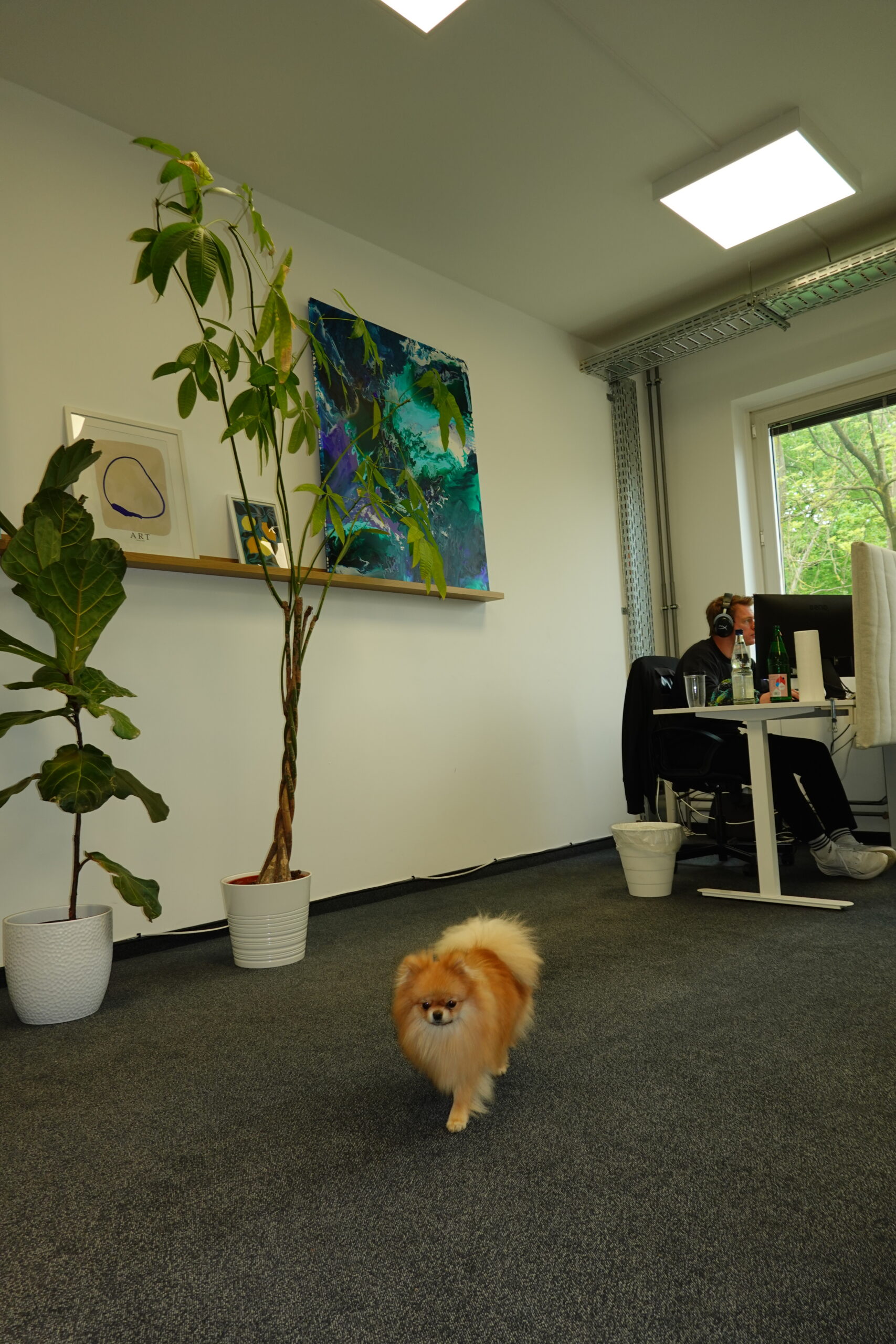 Bürofoto 2