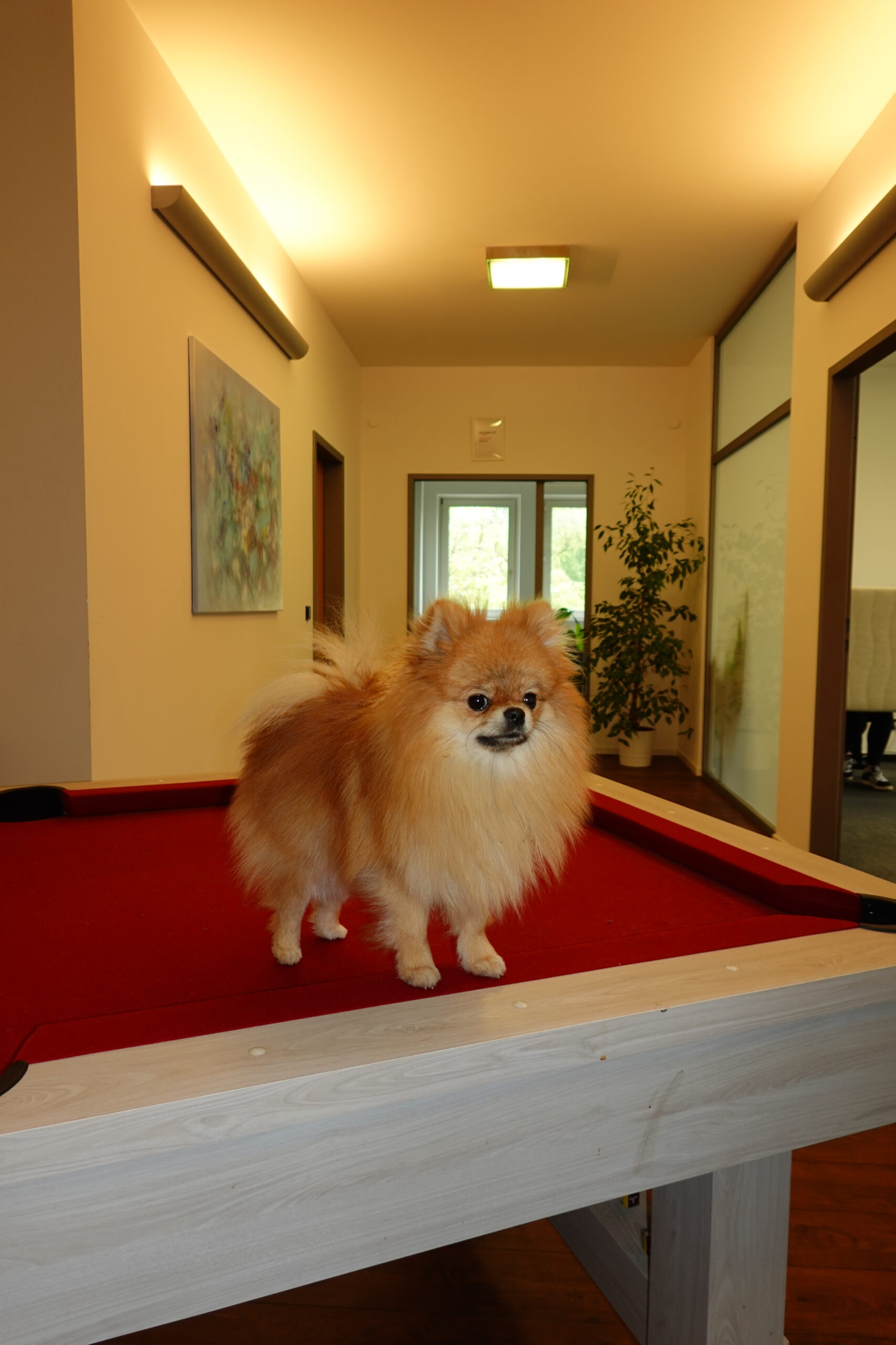 Bürofoto 4