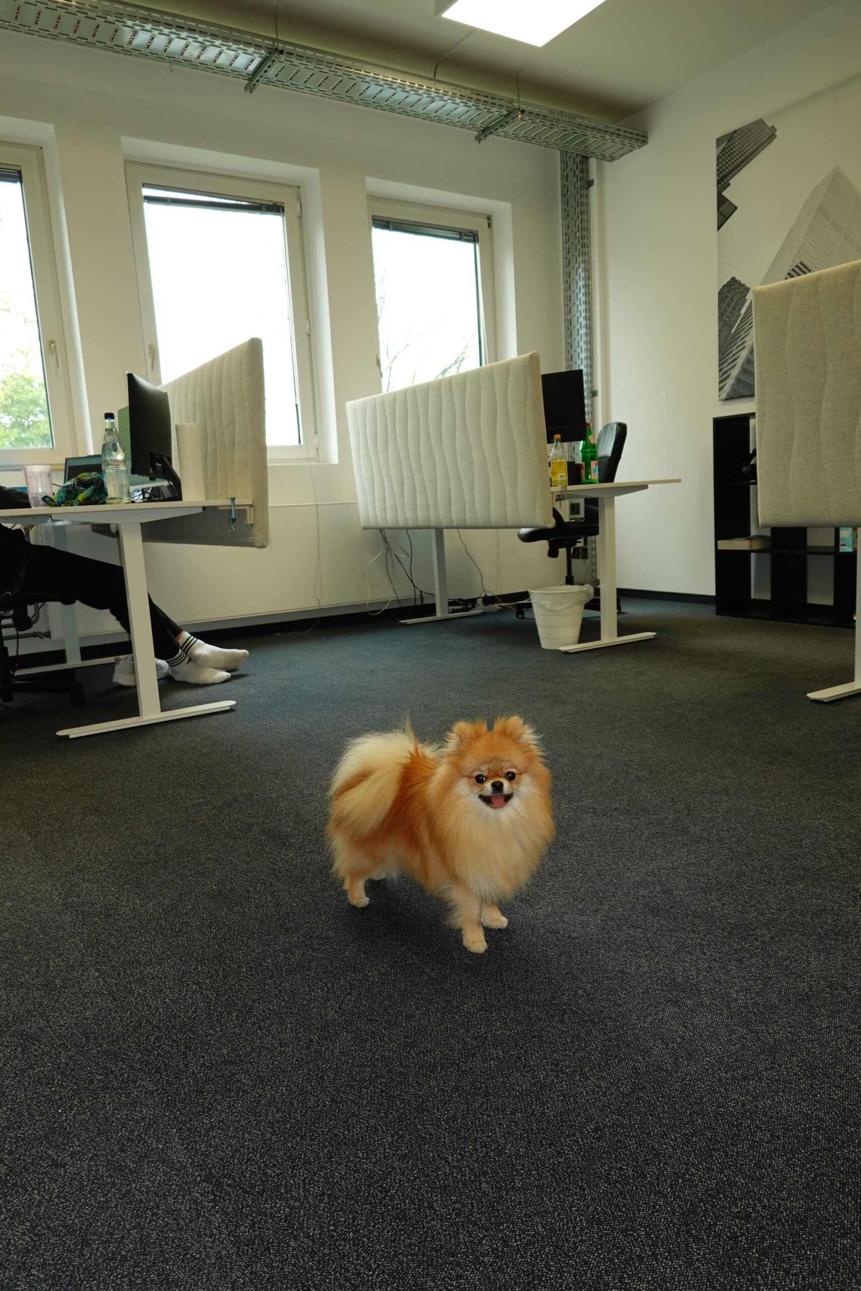 Bürofoto 5