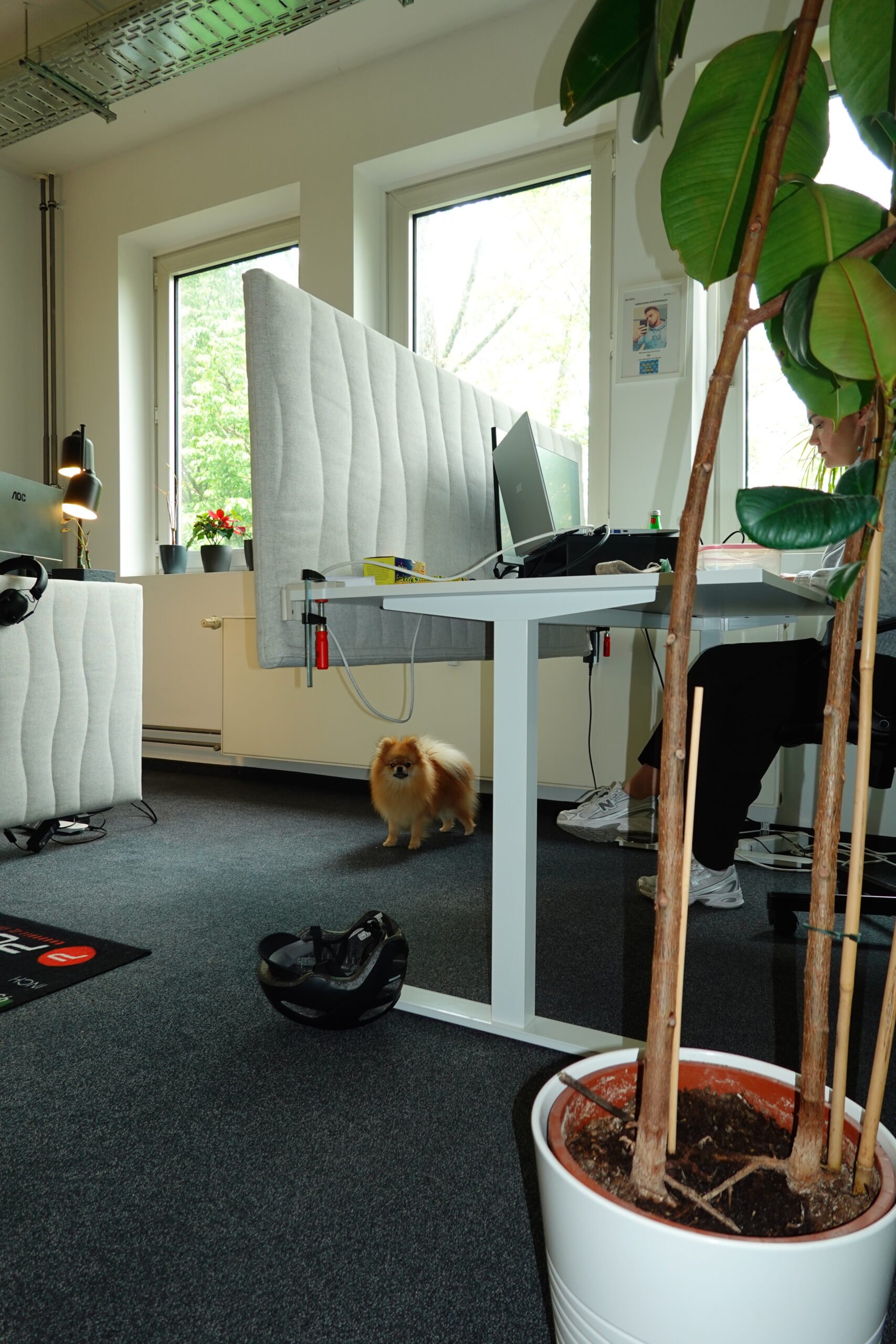 Bürofoto 8