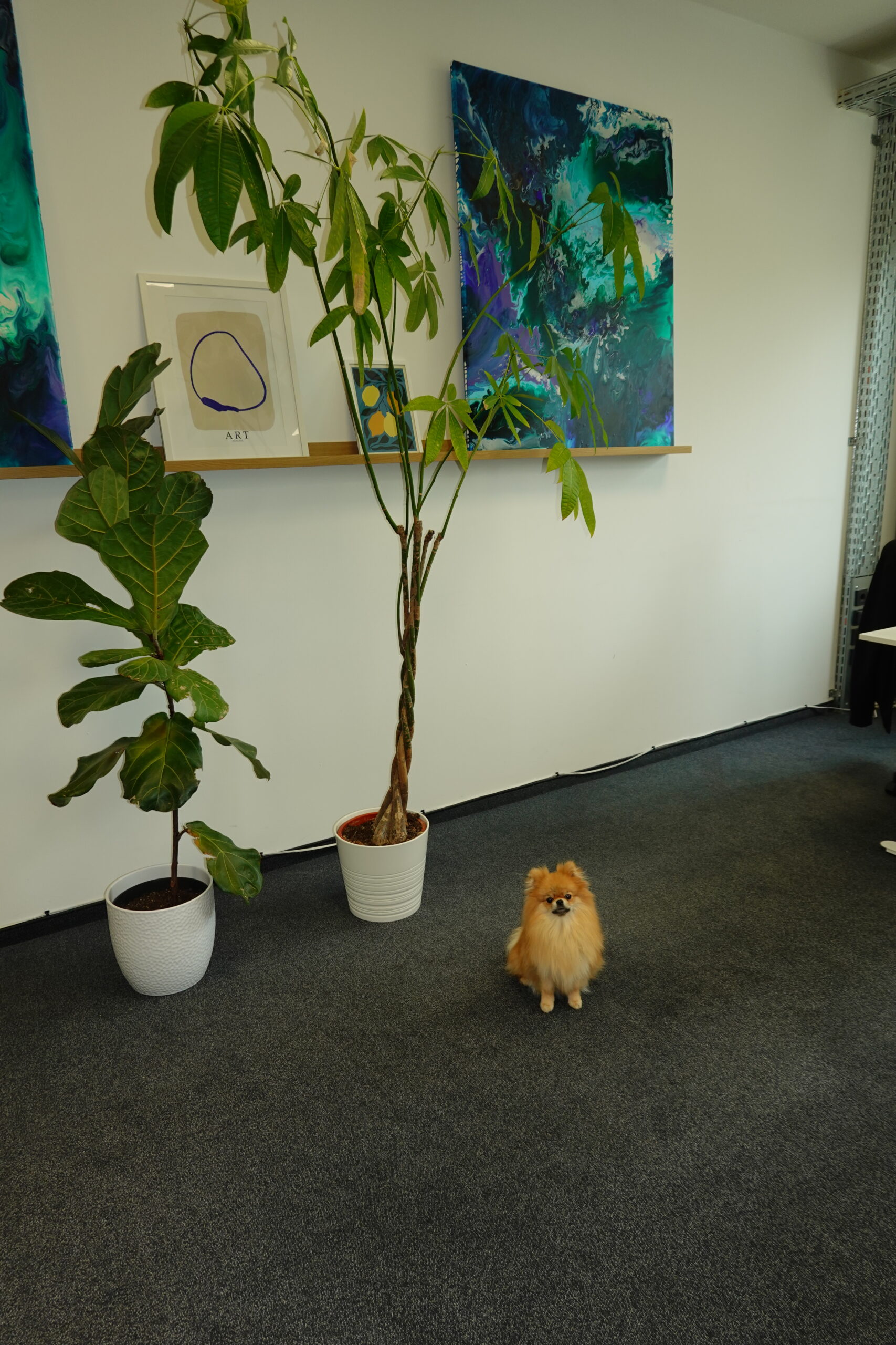 Bürofoto 9