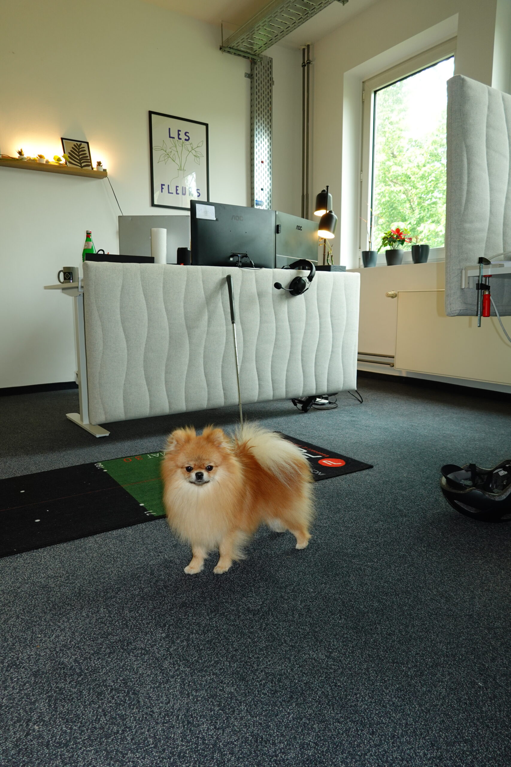 Bürofoto 10