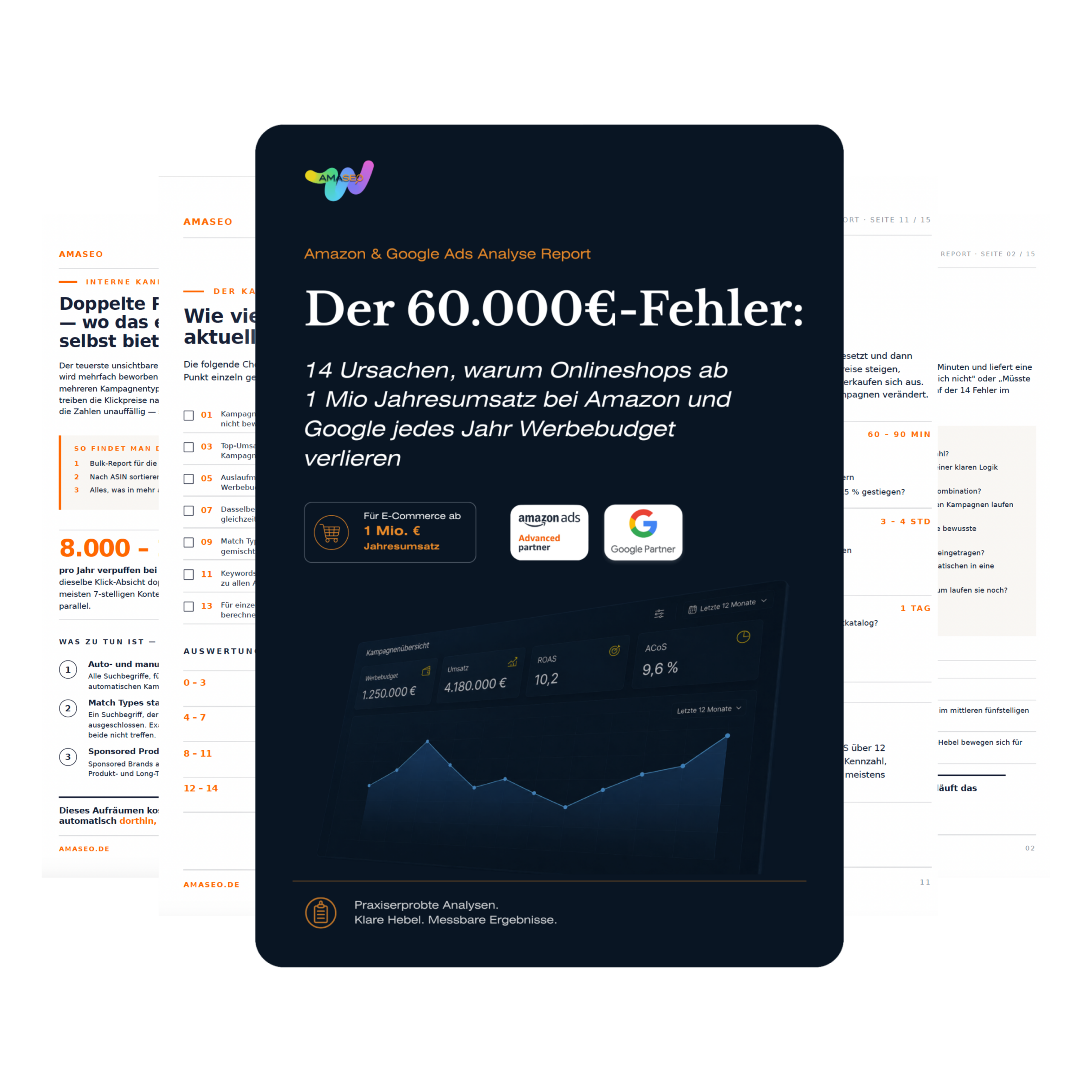 Der 60.000€-Fehler Report von amaseo